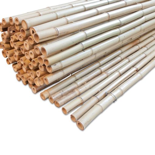 Windhager privacymat Bamboemat Ontake natur 2