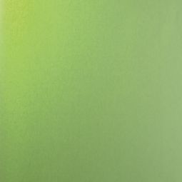 Roto privacyrolluik Appelgroen 2-R25 3