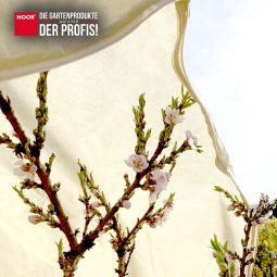 NOOR Winterbescherming-Thermomantel XL PRO met 4