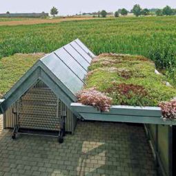 Bauder Groene dakpakket Standaard 6