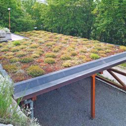 Bauder Groene dakpakket Standaard 5