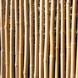 TraumGarten schutting BAMBU Bamboe aansluiting 3