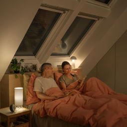 NIEUW: VELUX Solar-rolluik SSL 0100K 8