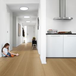 VELUX Velux daglichtspot TLR met 3