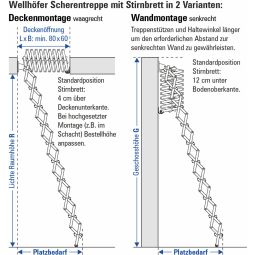 Wellhöfer schaartrap met voorzetbord verticaal 8