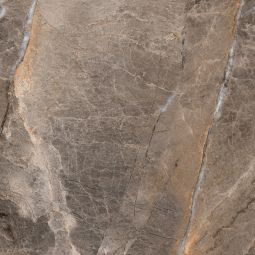 Wellker tegels Saltillo Bruin geglazuurd glanzend gerectificeerd Dikte 10 mm Fijnsteengoed, geschikt voor vloerverwarming, slijtvastheidsklasse A4, 60x60 cm