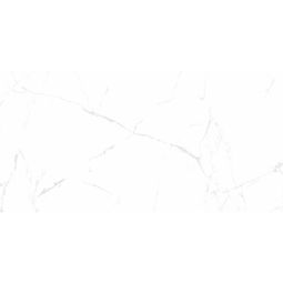 Wellker Tegels Xalapa Silver geglazuurd glanzend gerectificeerd Afmetingen: 60x120 cm Dikte 9 mm