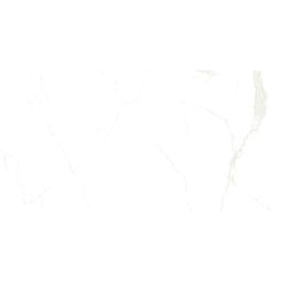 Wellker Tegels Xalapa Goud geglazuurd glanzend gerectificeerd 60x120 cm Dikte 9 mm