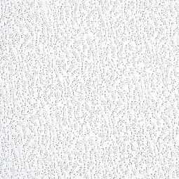 OWA Harmony plafondpaneel wit A2 kant 3 625x625x15 mm akoestisch paneel Verfkleurde oppervlakte in retro-uitstraling en grove perforering, ideaal voor een modern interieurontwerp