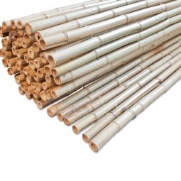 Windhager privacymat Bamboemat Ontake natur Bamboe 180x180 cm Ondoorzichtig (90%), robuust, lange levensduur