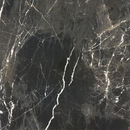 Wellker tegels Durango Carbon geglazuurd glanzend rechthoekig gezaagd 60x60 cm dikte 9 mm Geschikt voor vloerverwarming