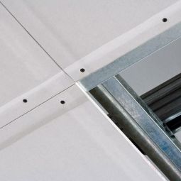 Knauf Gipskartonplaat Horizonboard GKF Gipsplaat 2000x1250x12,5mm