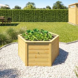 weka 6 Eck verhoogde plantenbak 669 verschillende kleuren, 21 mm wanddikte
