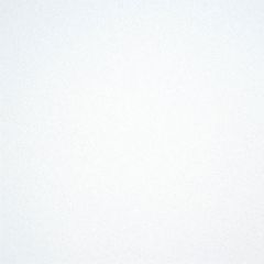 Plafondpanelen