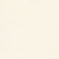  Witte muurverf 