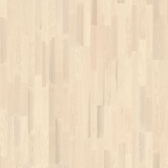  Licht parket 