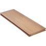 NATURinFORM WPC-terrasplank 21x140 mm DE KERNIGE terrabraun massief