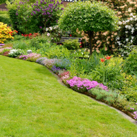 Hellingbeplanting
