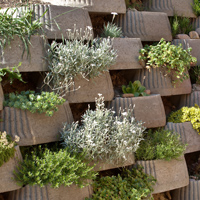 Plantenstenen