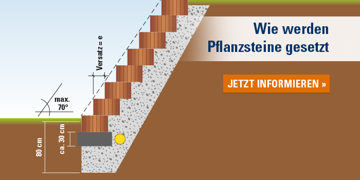 Plantenstenen plaatsen