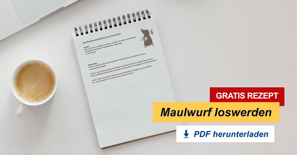 Gratis PDF om af te drukken