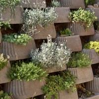 Plantenstenen