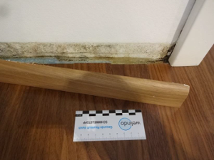 Schimmel vloerconstructie